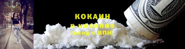 шишки Кинешма