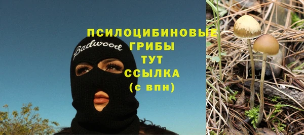 бошки Касимов