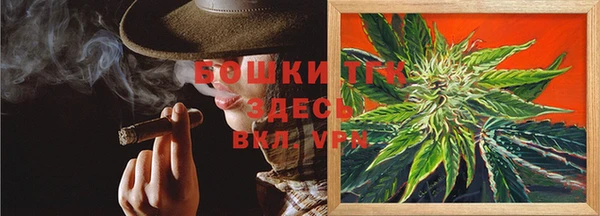 гашик Новодвинск