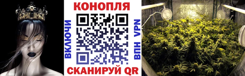 купить наркоту Ковылкино Бошки марихуана индика